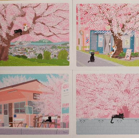 Sakura | Pocztówka "Koty w Podróży"