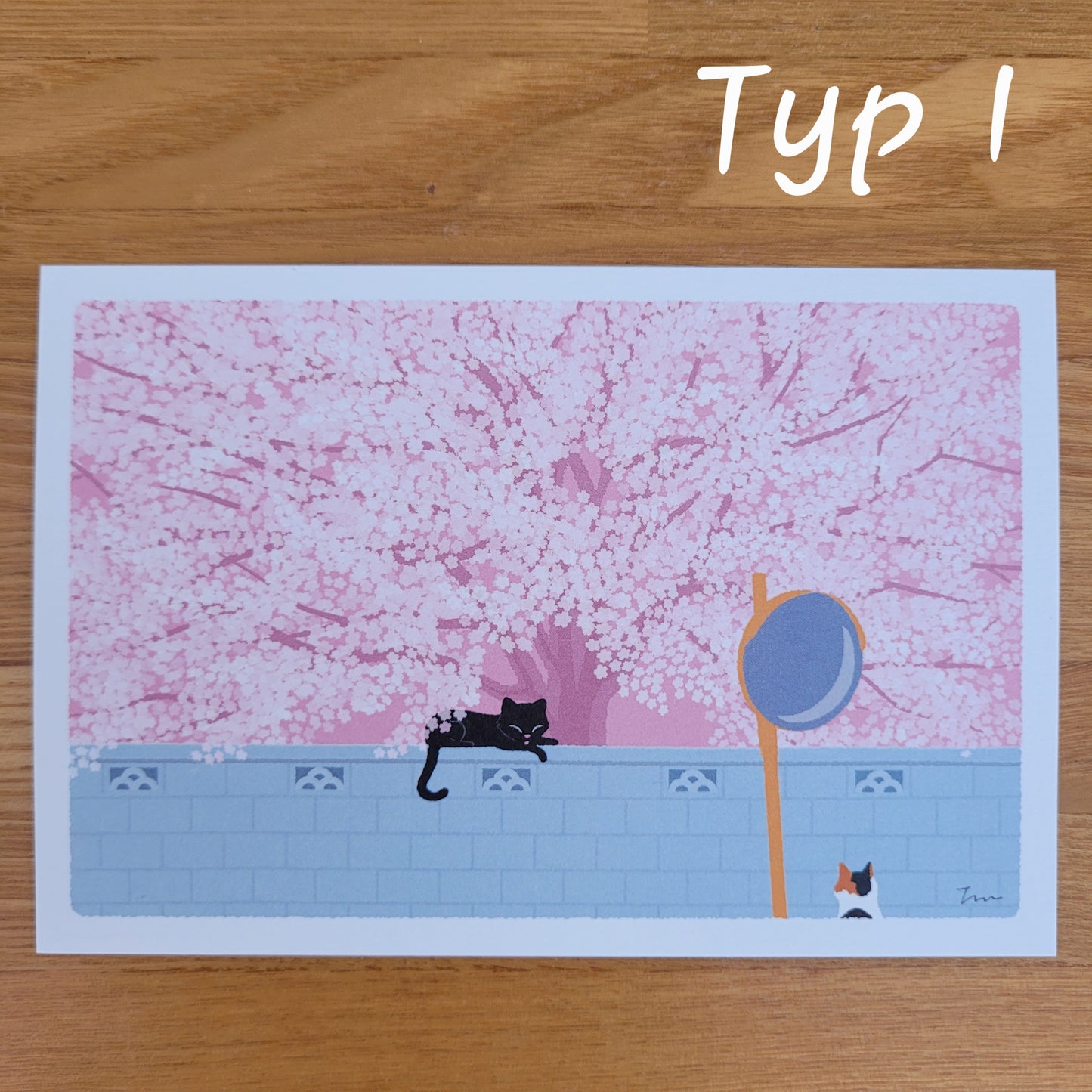 Sakura | Pocztówka "Koty w Podróży"