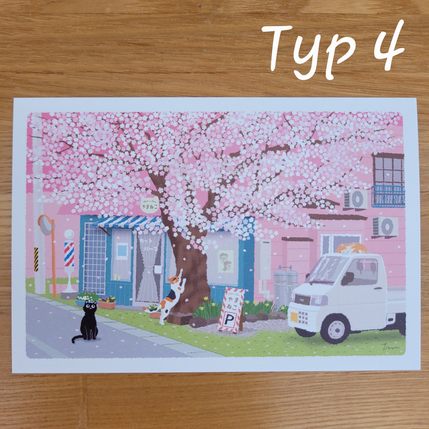 Sakura | Pocztówka "Koty w Podróży"