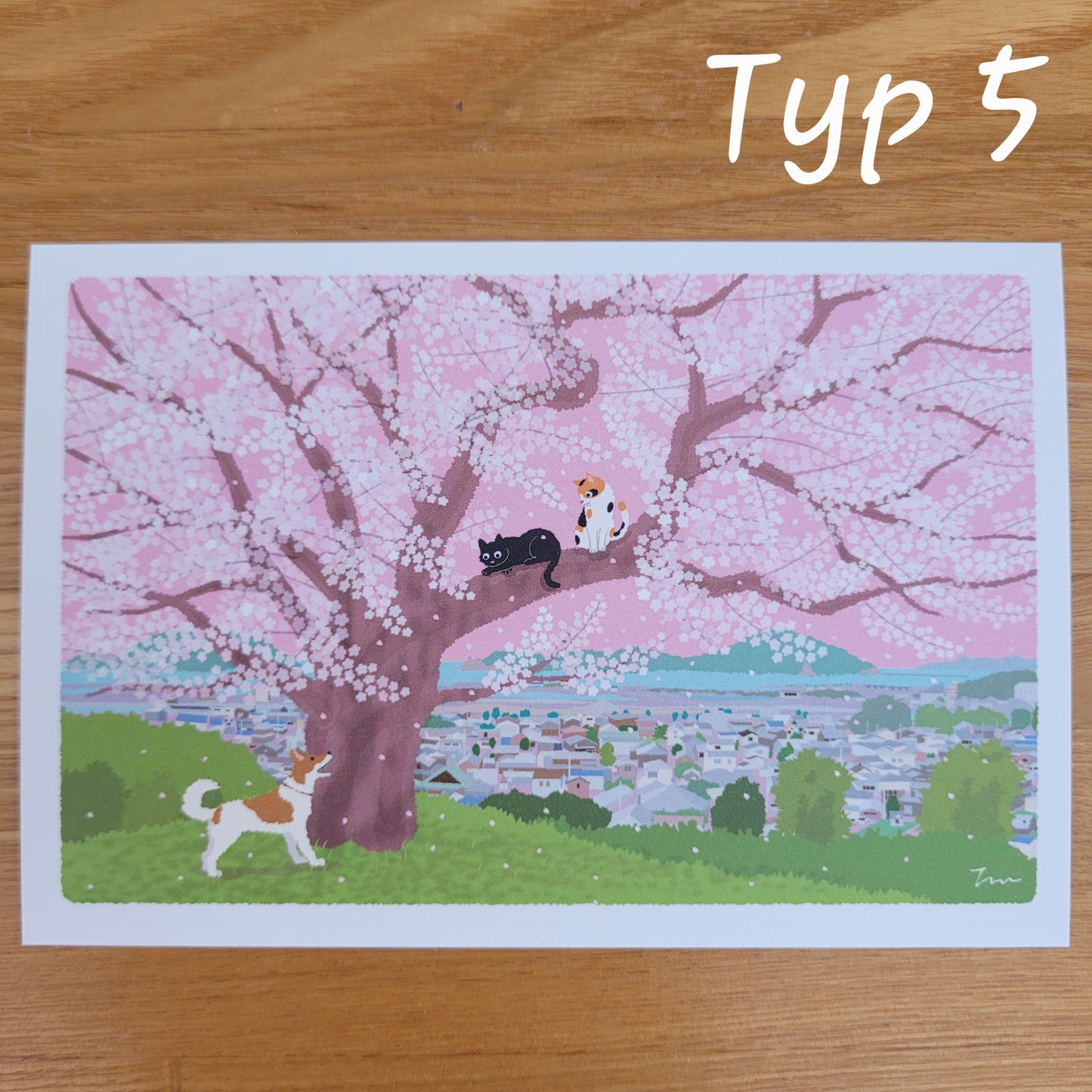 Sakura | Pocztówka "Koty w Podróży"