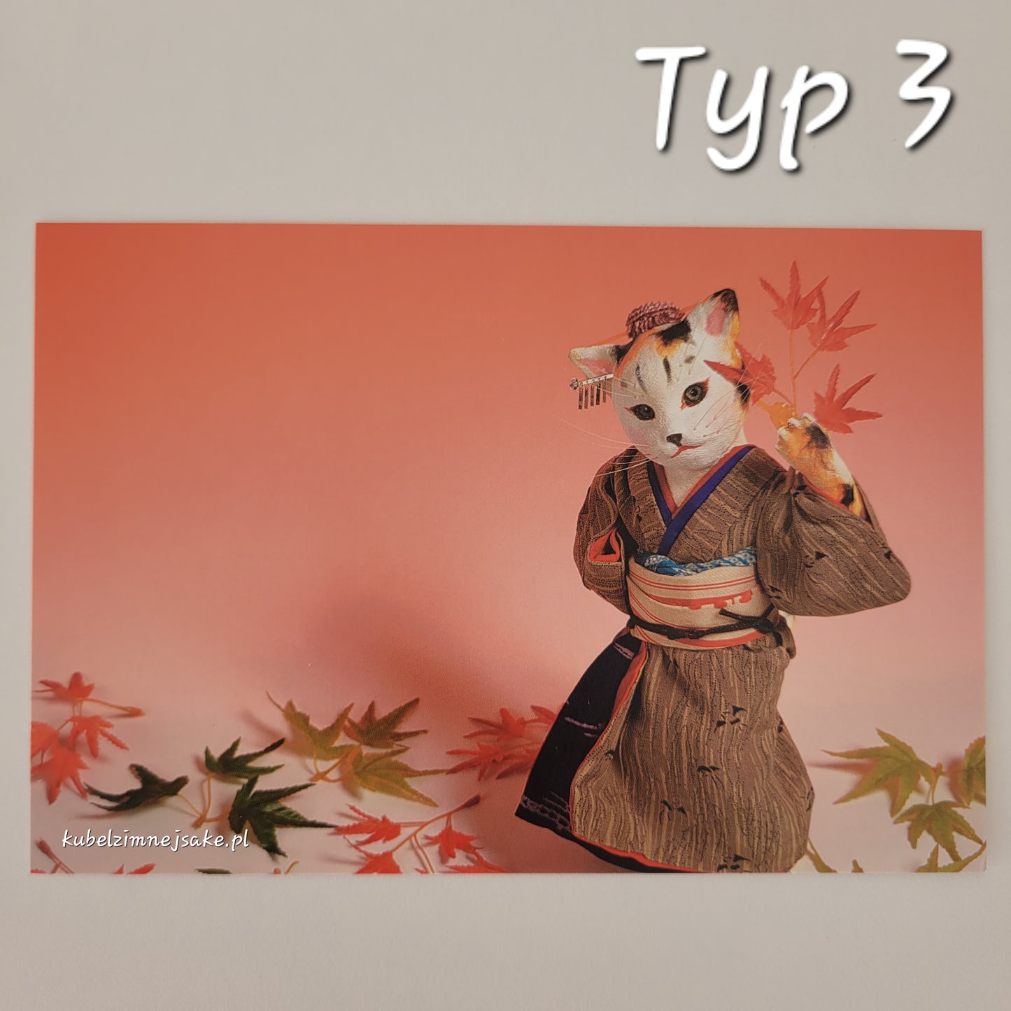 Kotkowe Pocztówki z Japonii