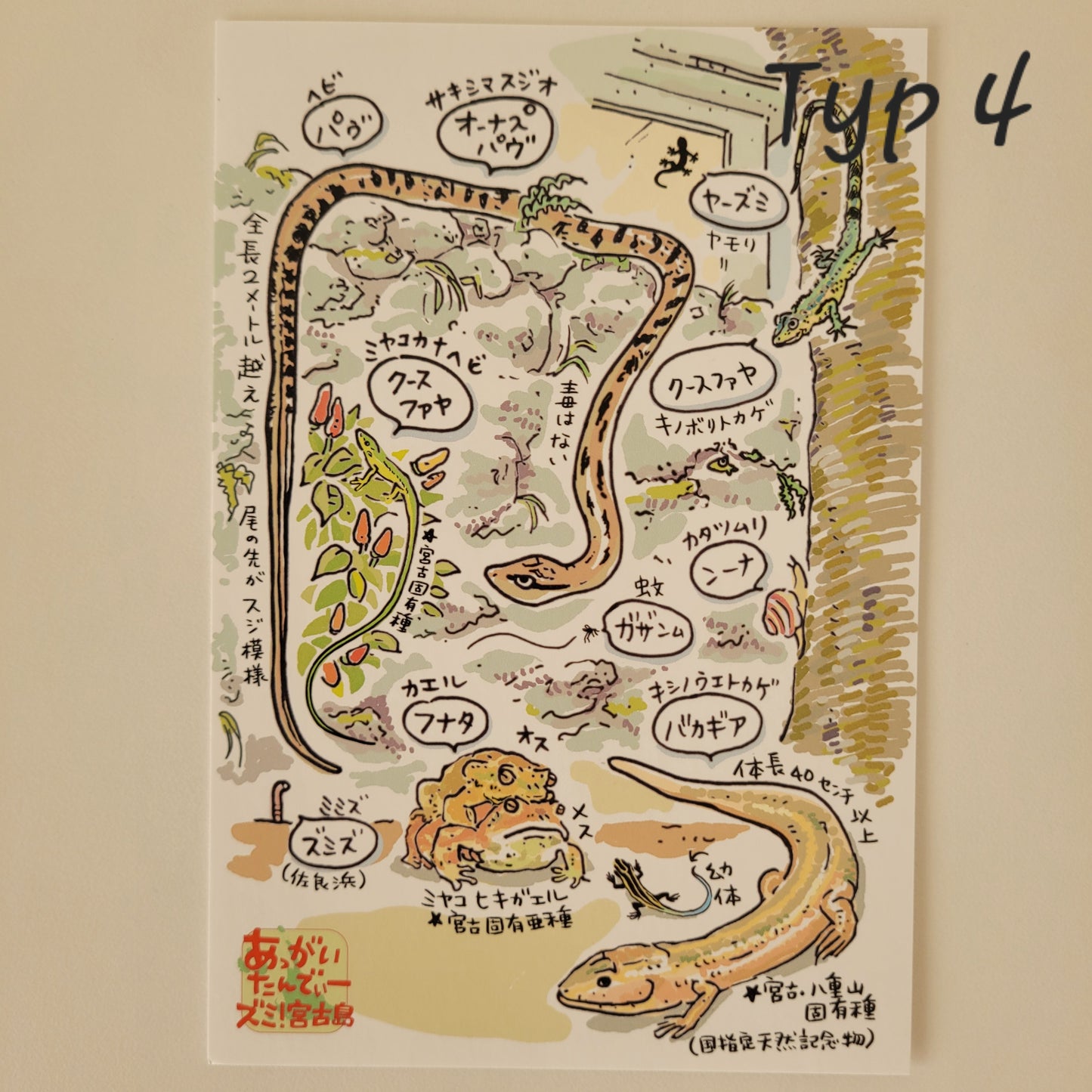 Okinawa | Pocztówki z Wyspy Miyako - Folklor