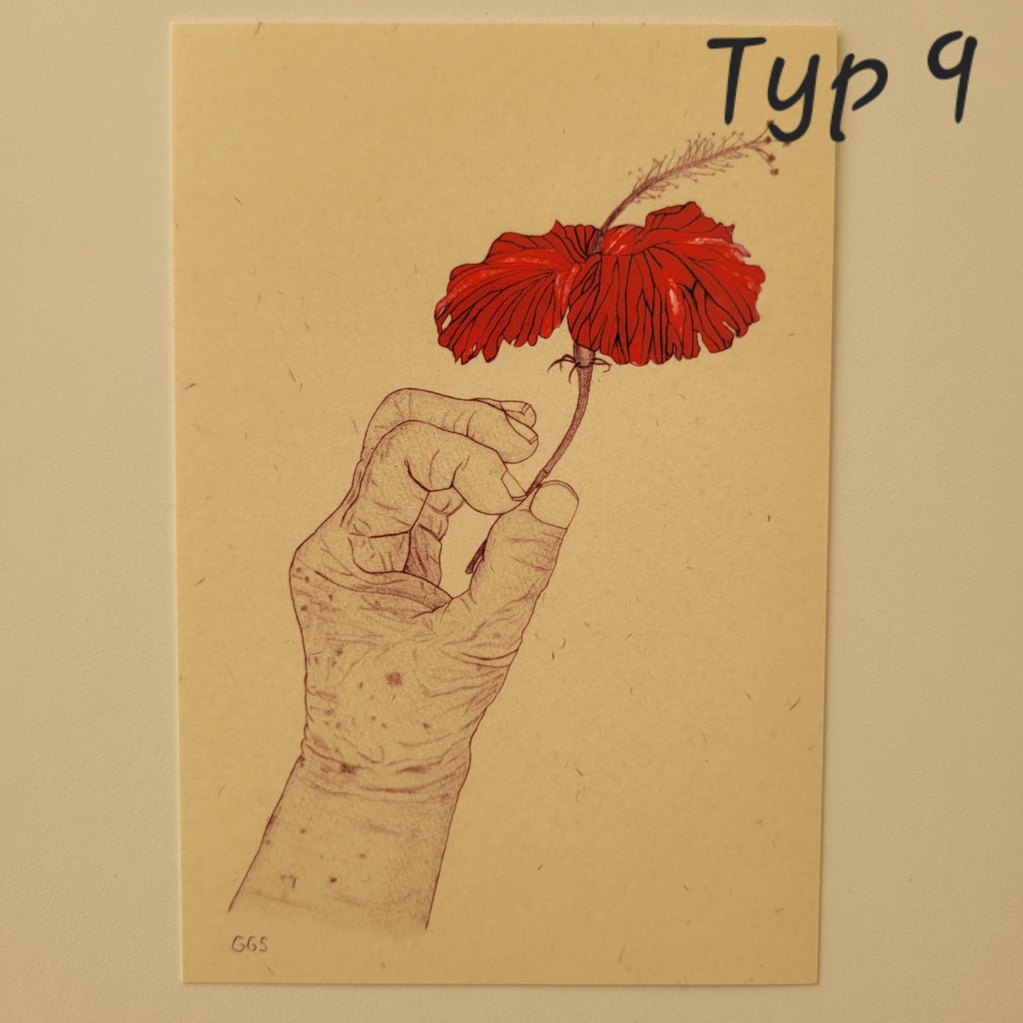 Okinawa | Pocztówki z Wyspy Miyako - Grafiki