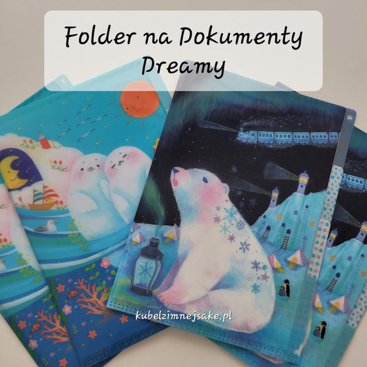 Seizo Watase | Folder Typu Clear File | Trzy Przegródki