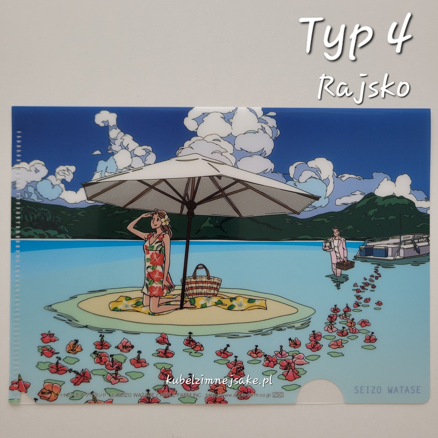 Seizo Watase | Folder Typu Clear File