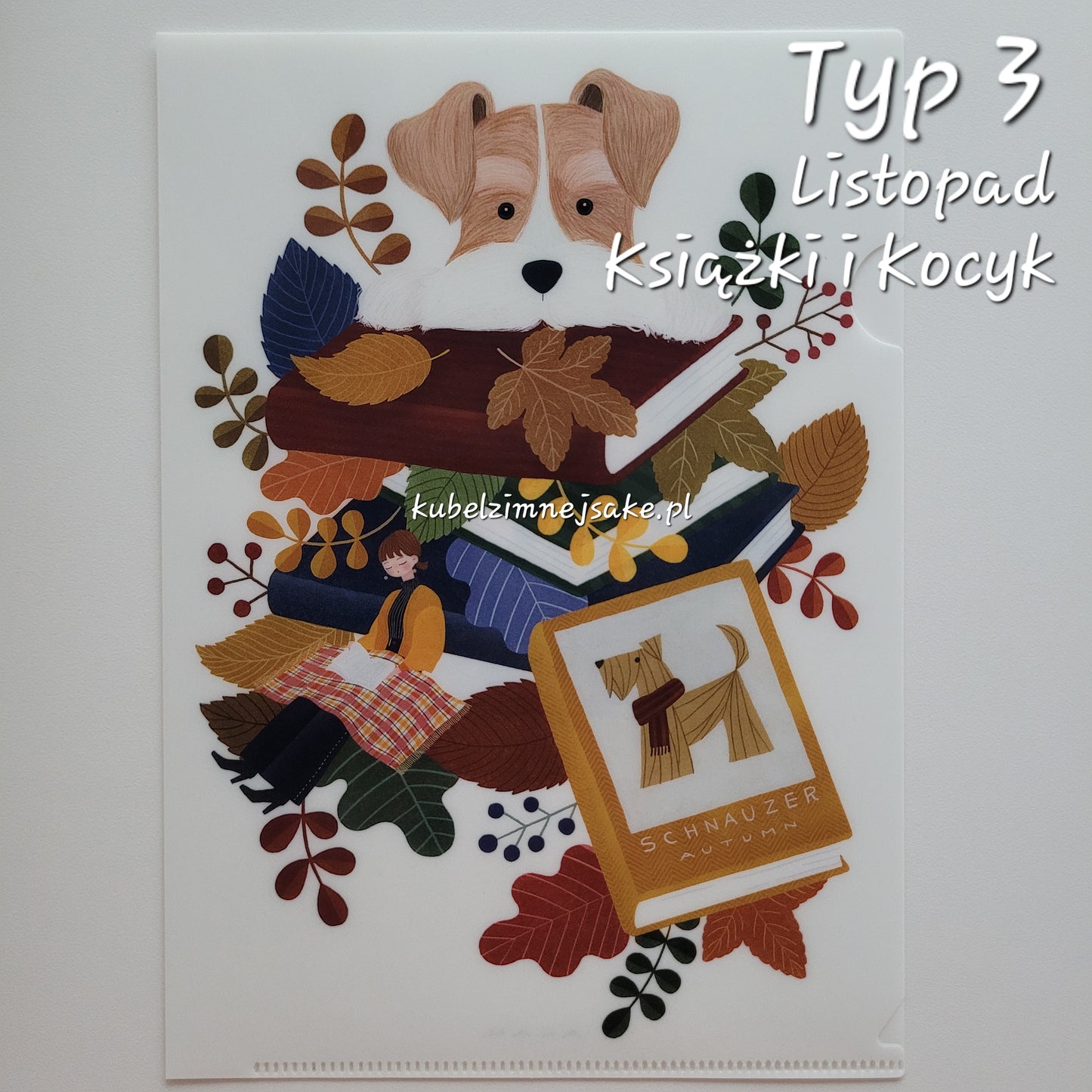 *Nowość* Jesień | Folder Typu Clear File