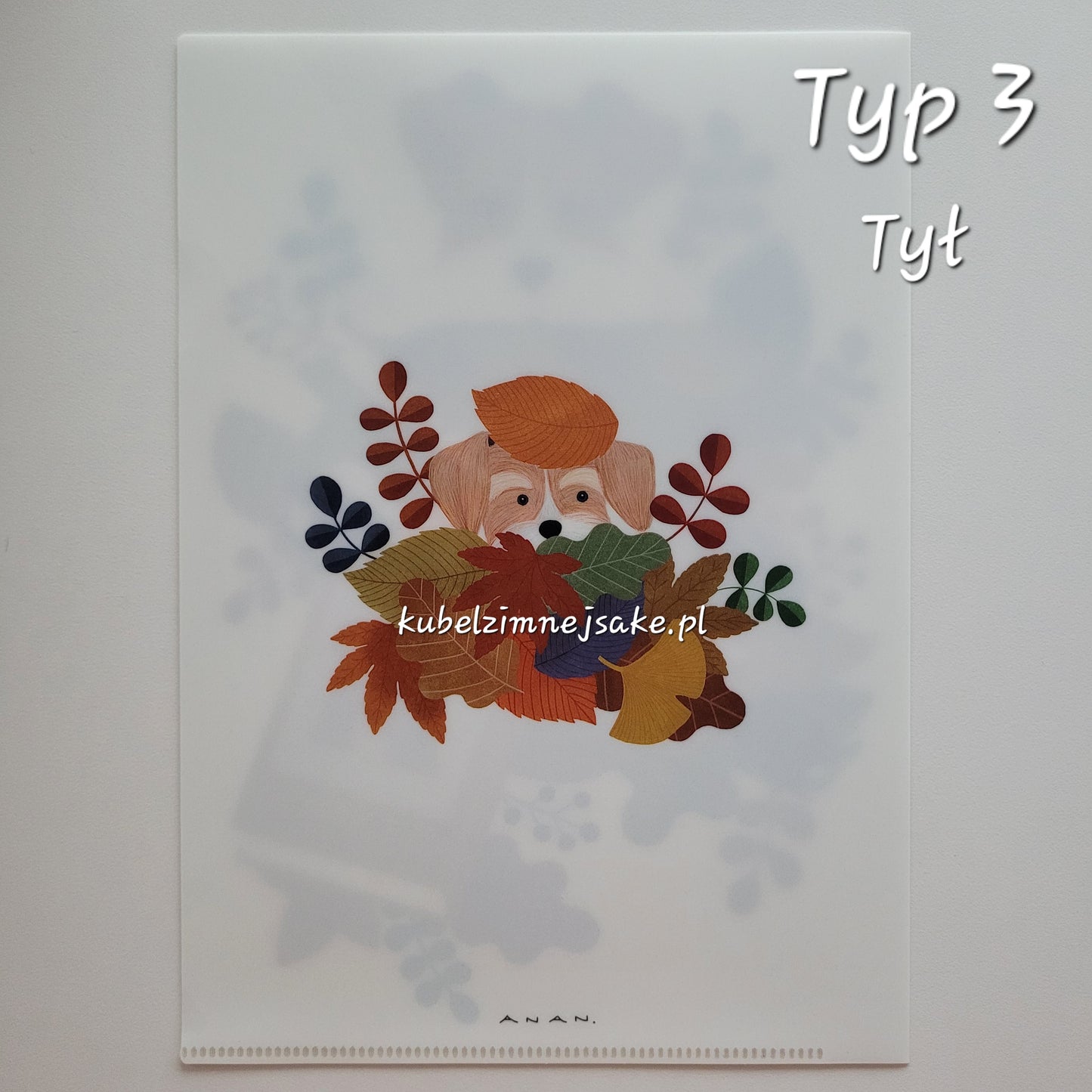 *Nowość* Jesień | Folder Typu Clear File