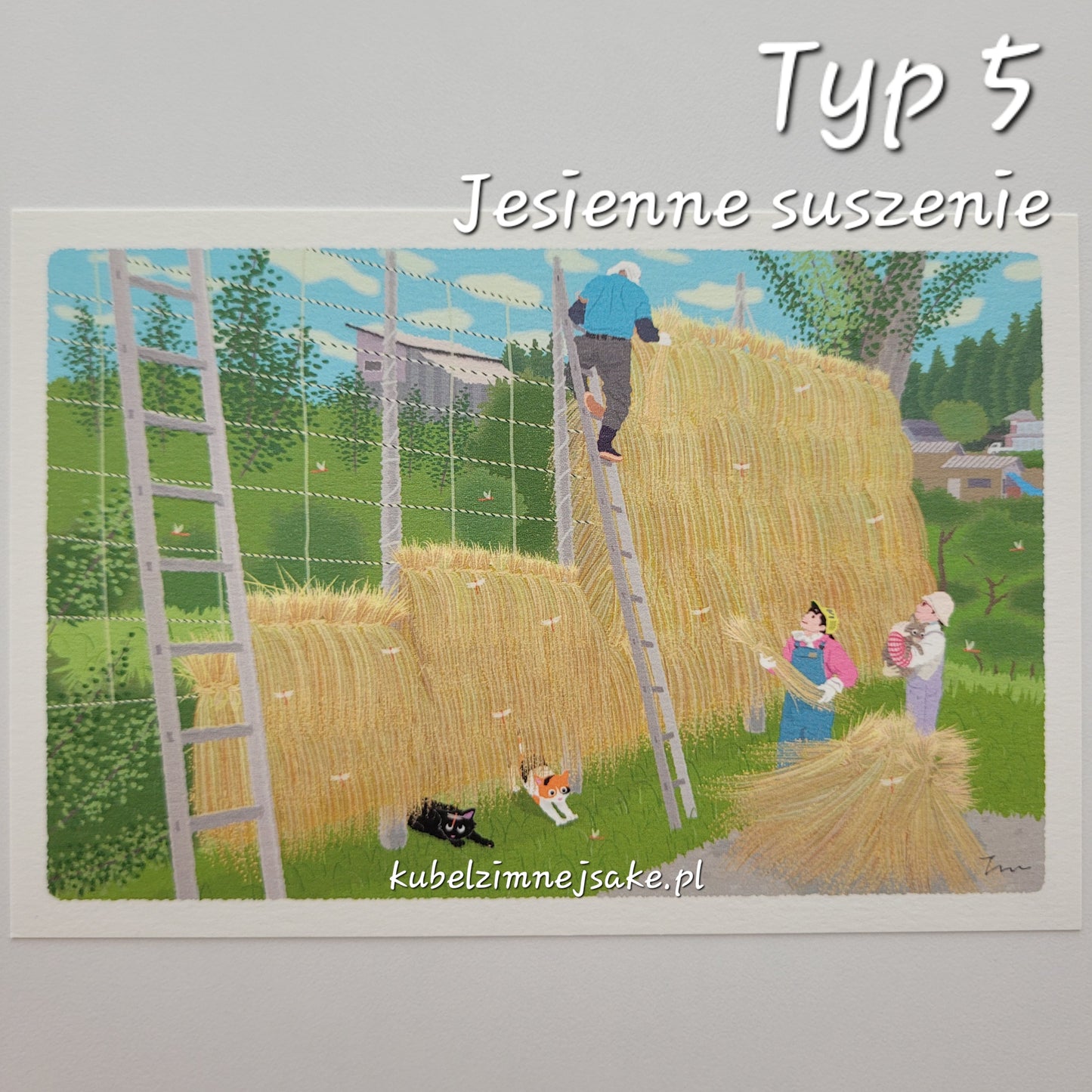 *Nowość* Jesień | Pocztówki Koty w Podróży