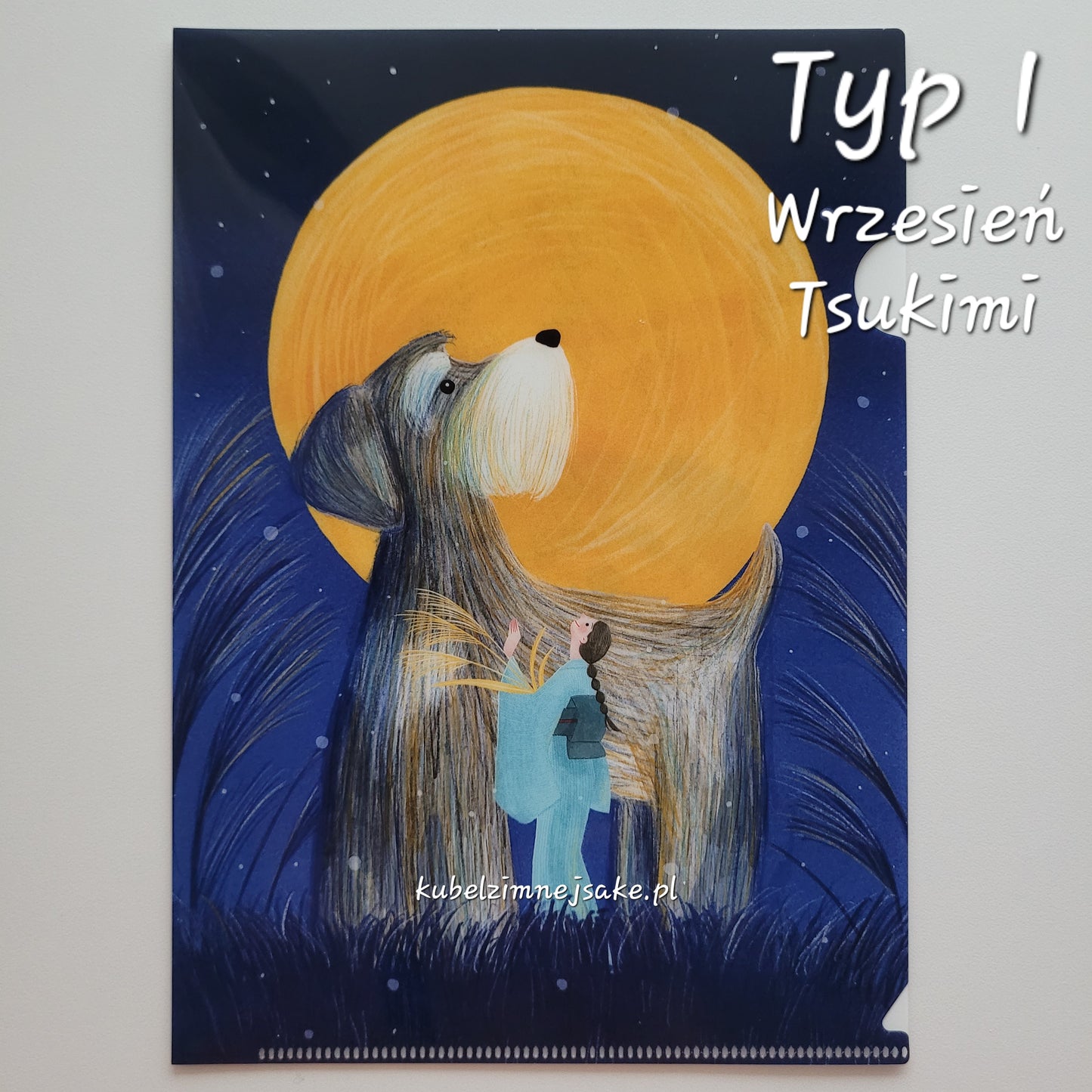 *Nowość* Jesień | Folder Typu Clear File