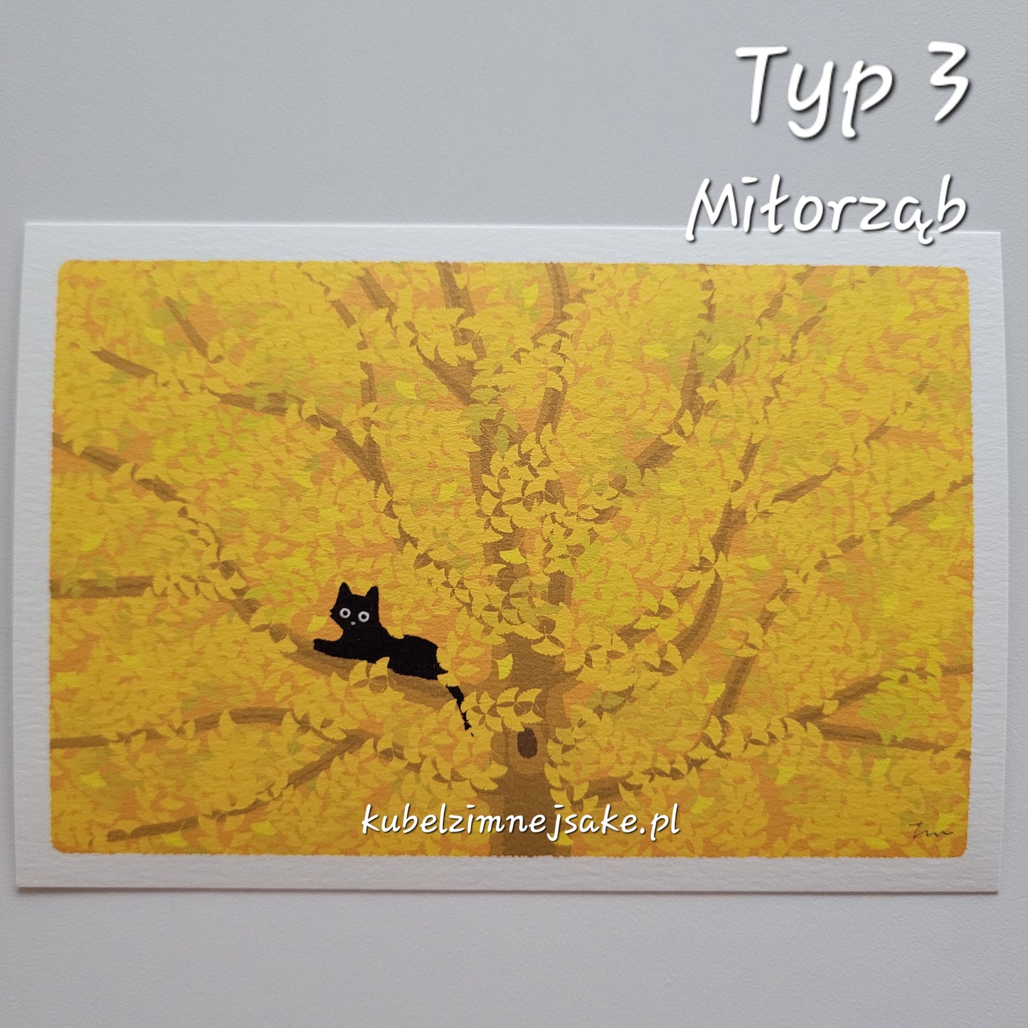 *Nowość* Jesień | Pocztówki Koty w Podróży