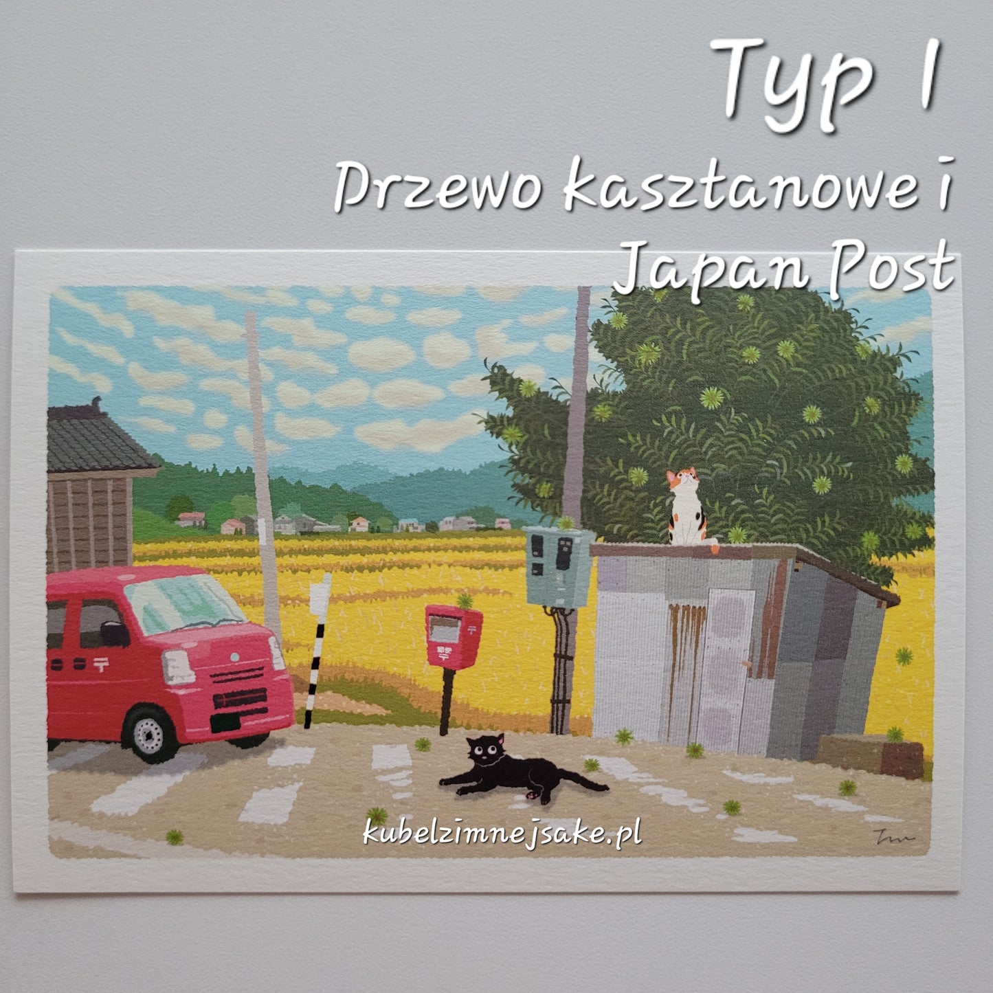 *Nowość* Jesień | Pocztówki Koty w Podróży