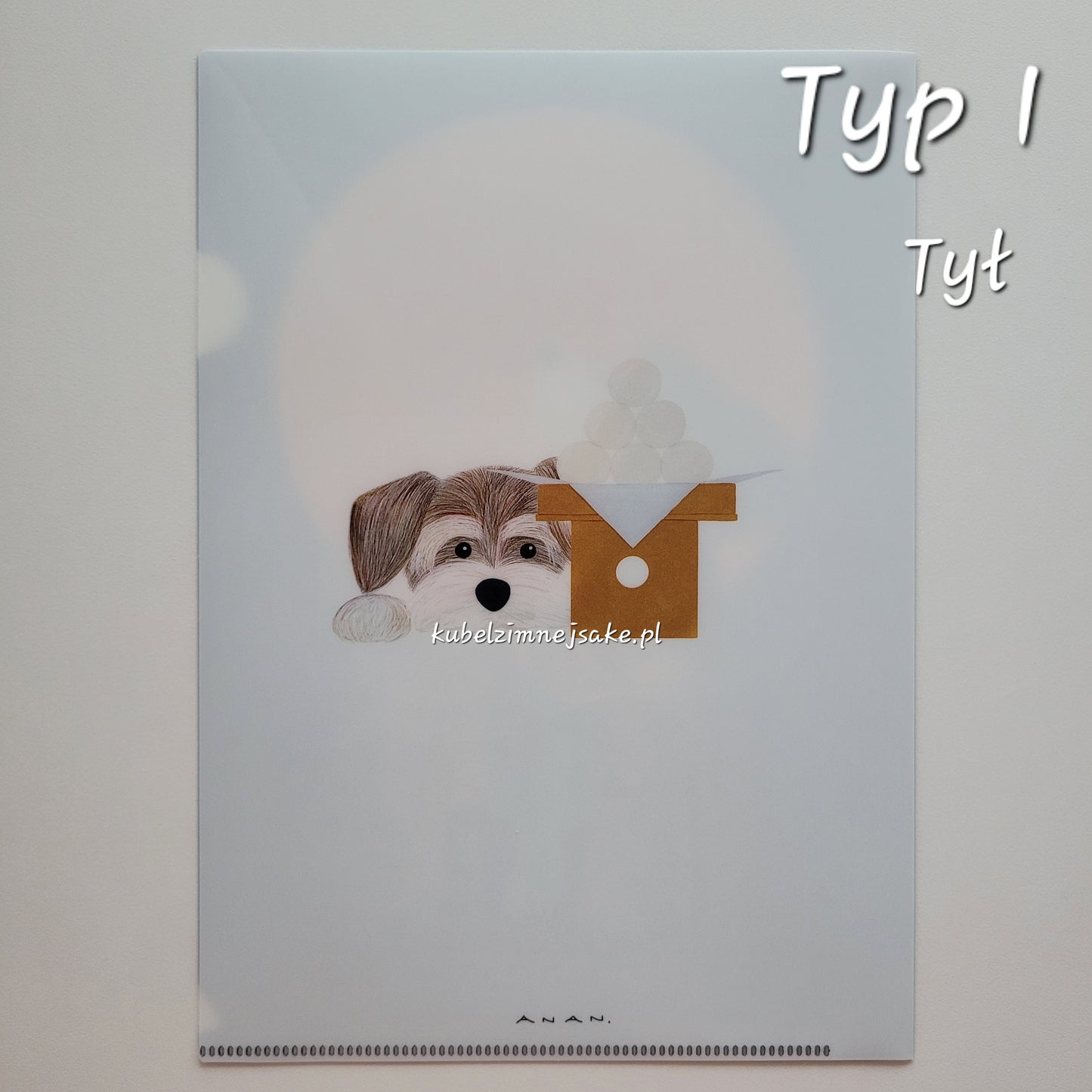 *Nowość* Jesień | Folder Typu Clear File