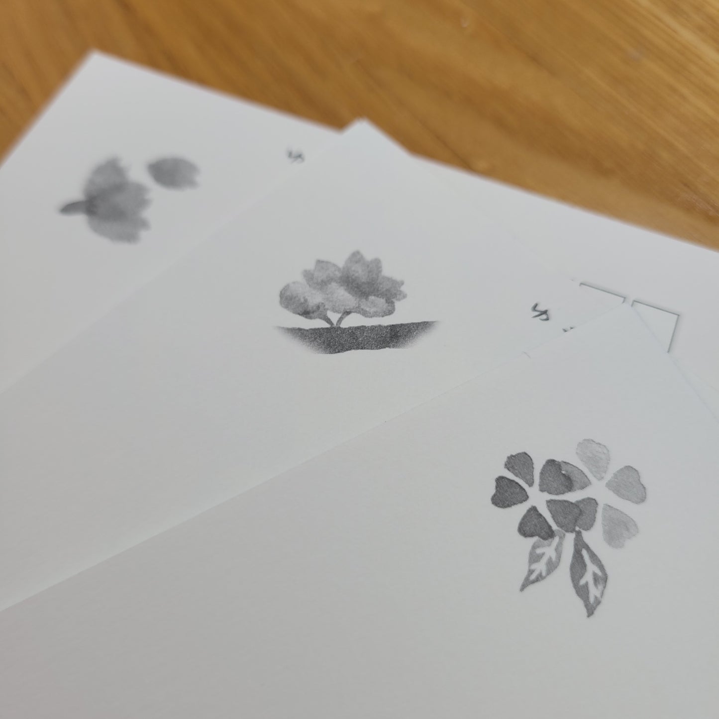 Sakura | Pocztówka Value