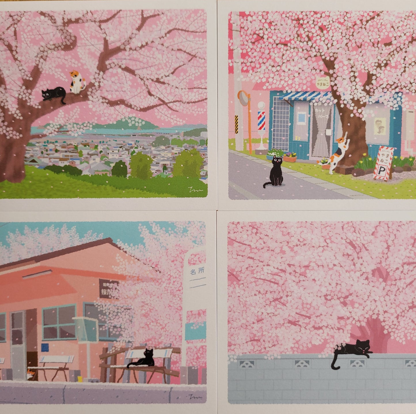 Sakura | Pocztówka "Koty w Podróży"