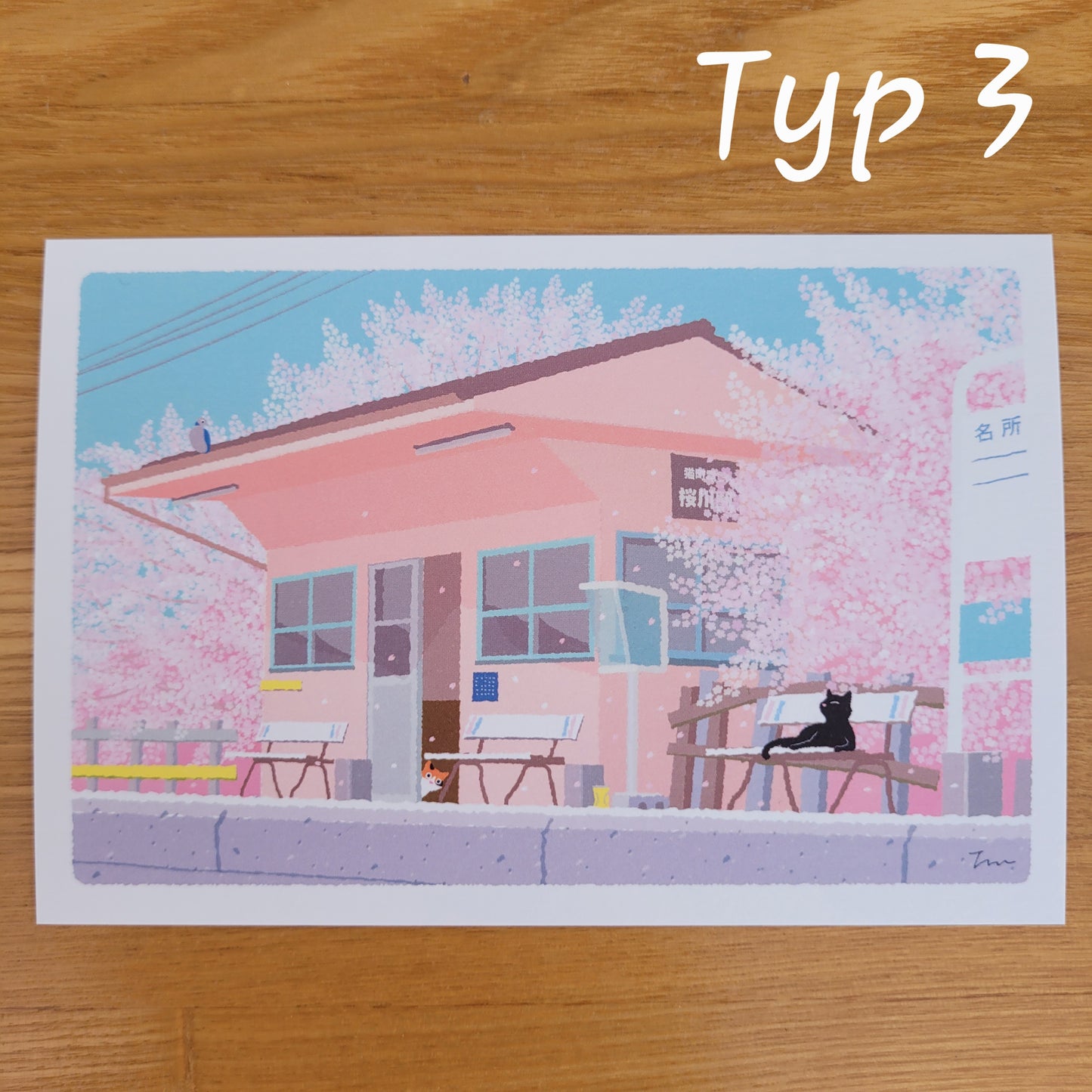 Sakura | Pocztówka "Koty w Podróży"