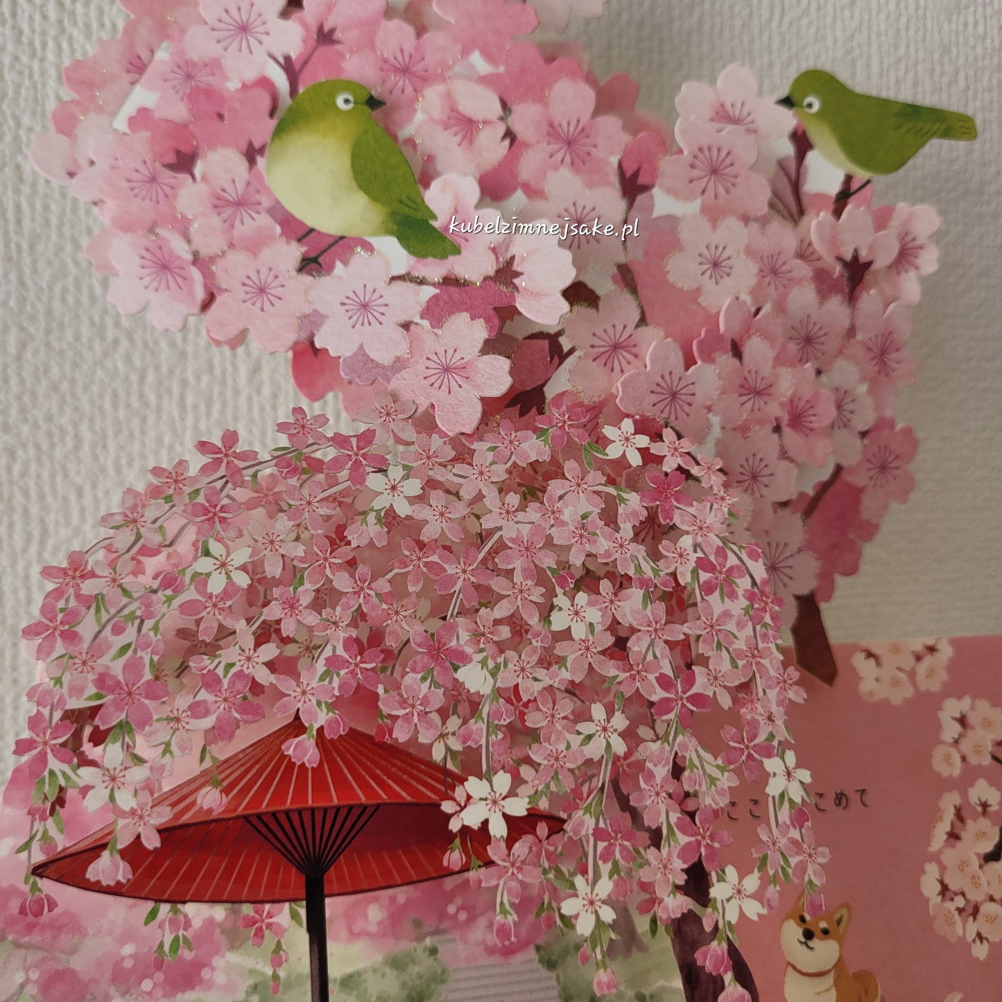 Sakura | Kartki Rozkładane