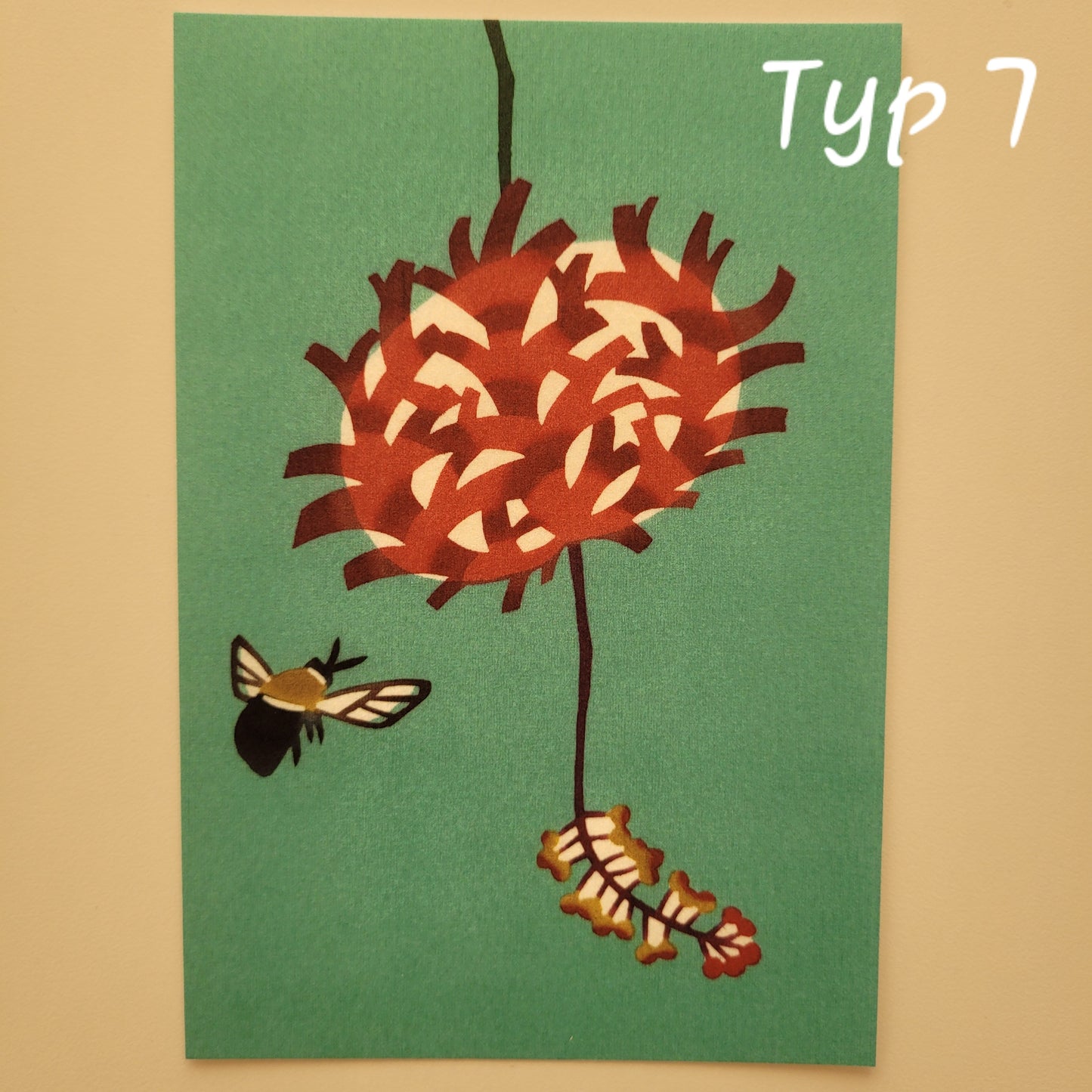 Okinawa | Pocztówki z Wyspy Kurima