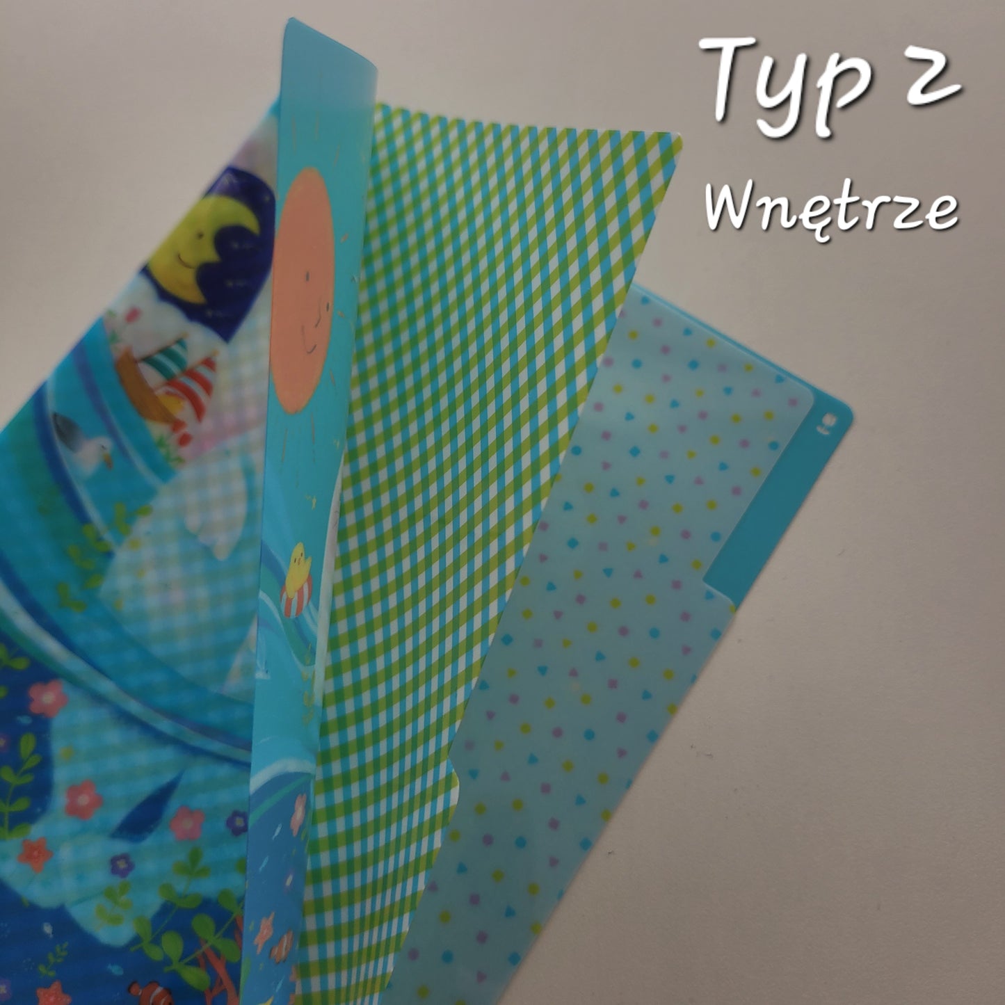 Seizo Watase | Folder Typu Clear File | Trzy Przegródki