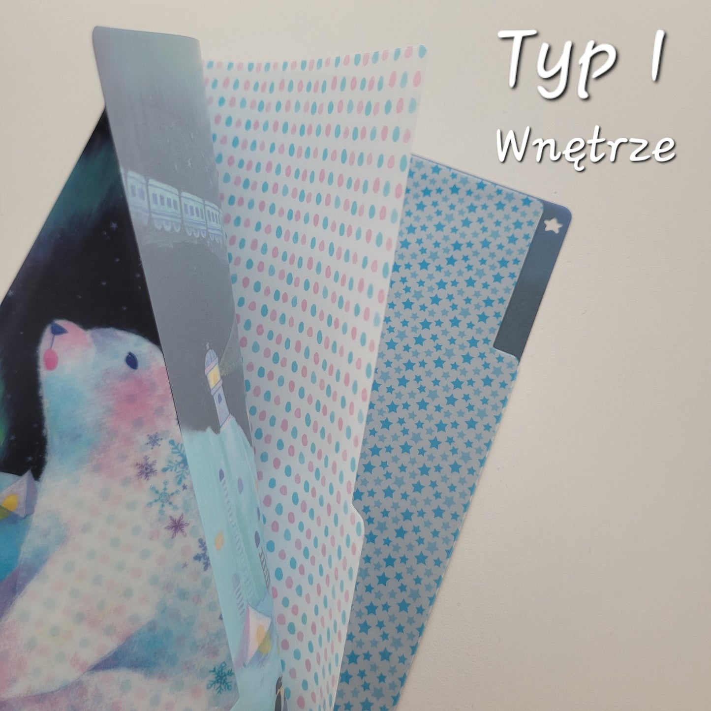 Seizo Watase | Folder Typu Clear File | Trzy Przegródki