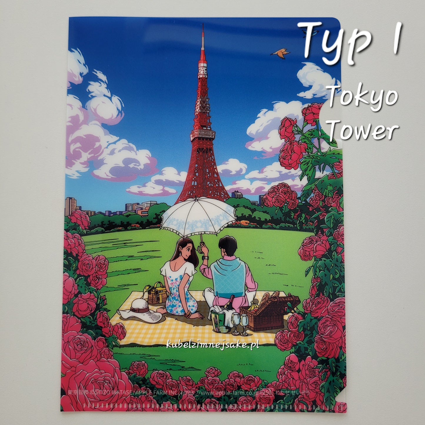 Seizo Watase | Folder Typu Clear File