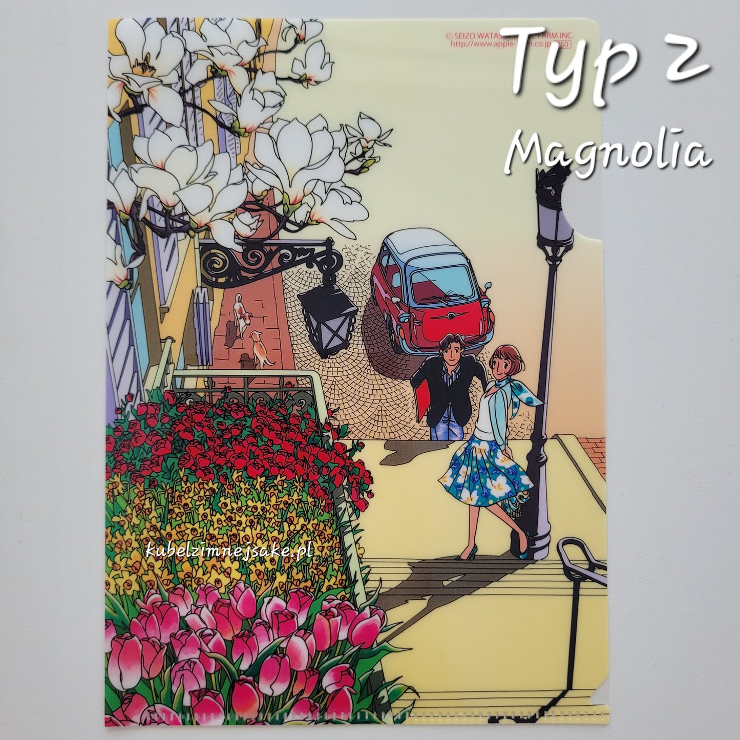 Seizo Watase | Folder Typu Clear File