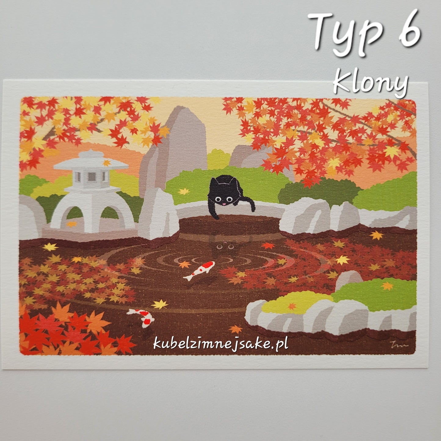 *Nowość* Jesień | Pocztówki Koty w Podróży