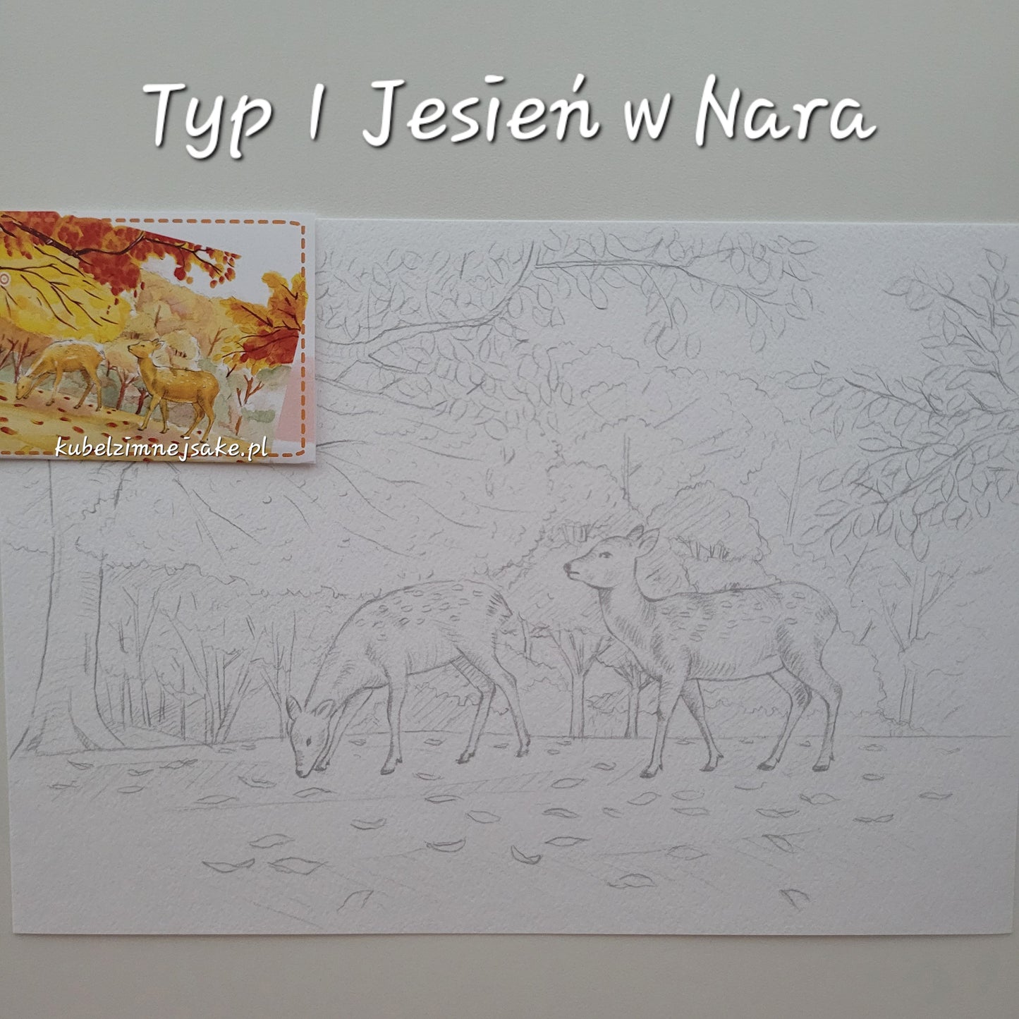 *Nowość* Japońskie Kolorowanki dla Dorosłych | Miasto Nara