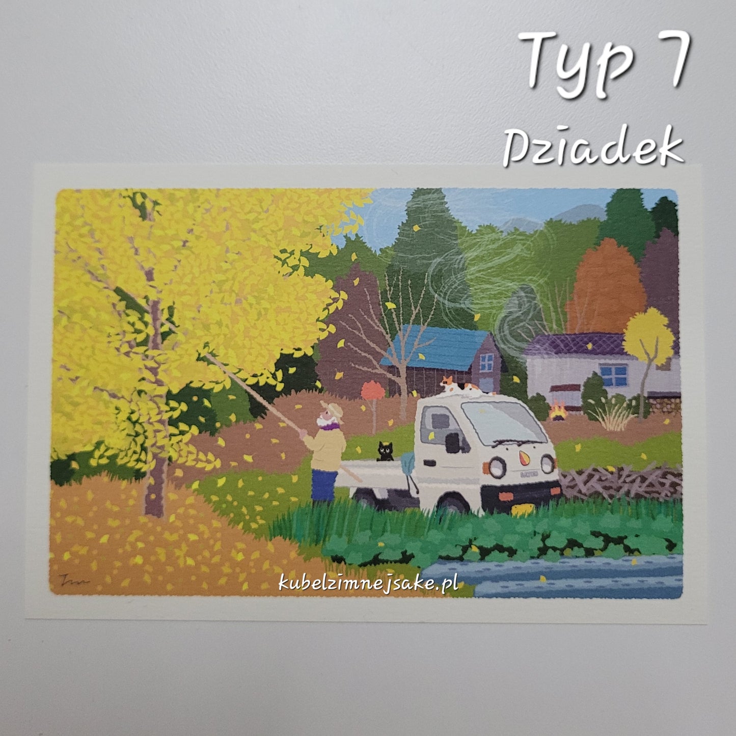 *Nowość* Jesień | Pocztówki Koty w Podróży
