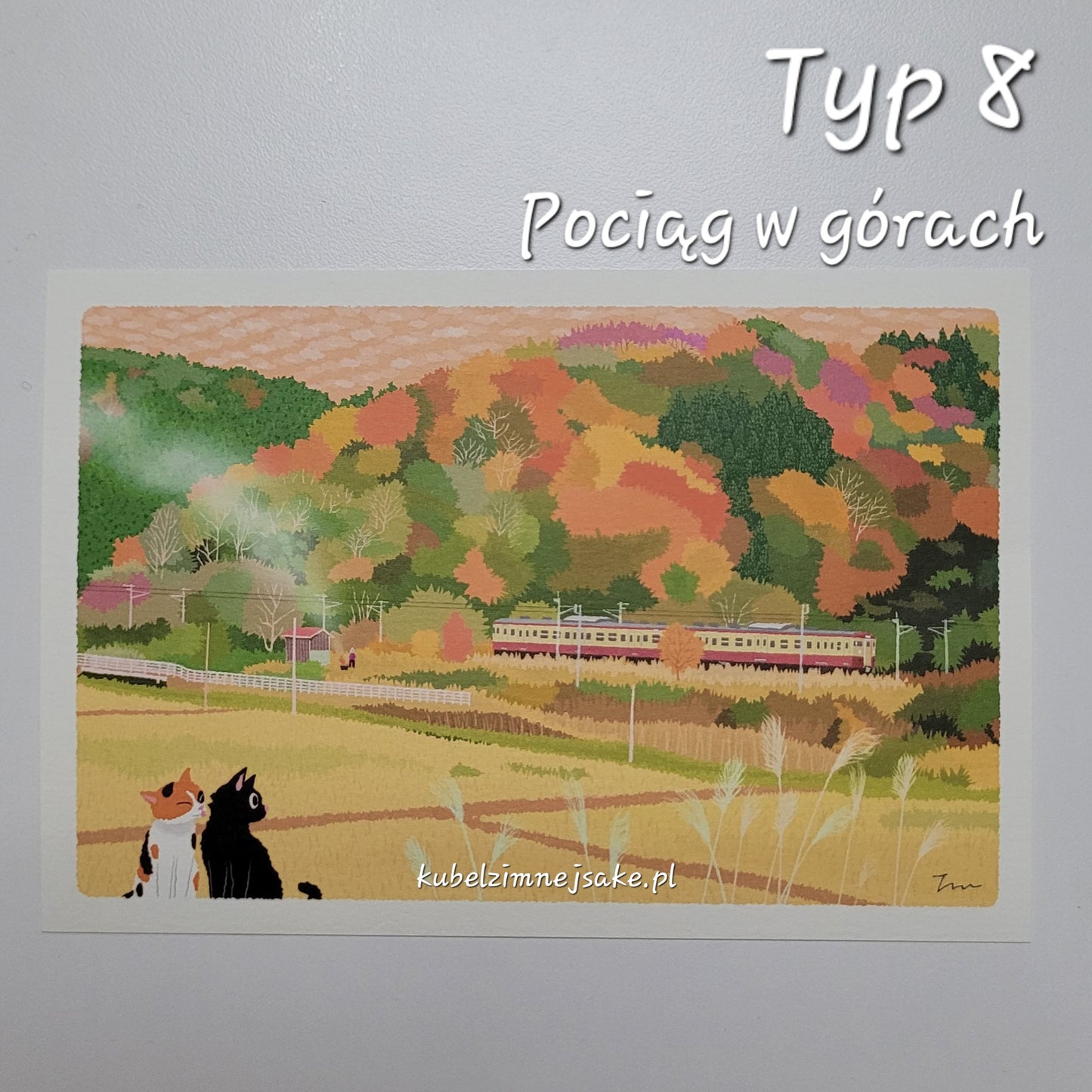 *Nowość* Jesień | Pocztówki Koty w Podróży