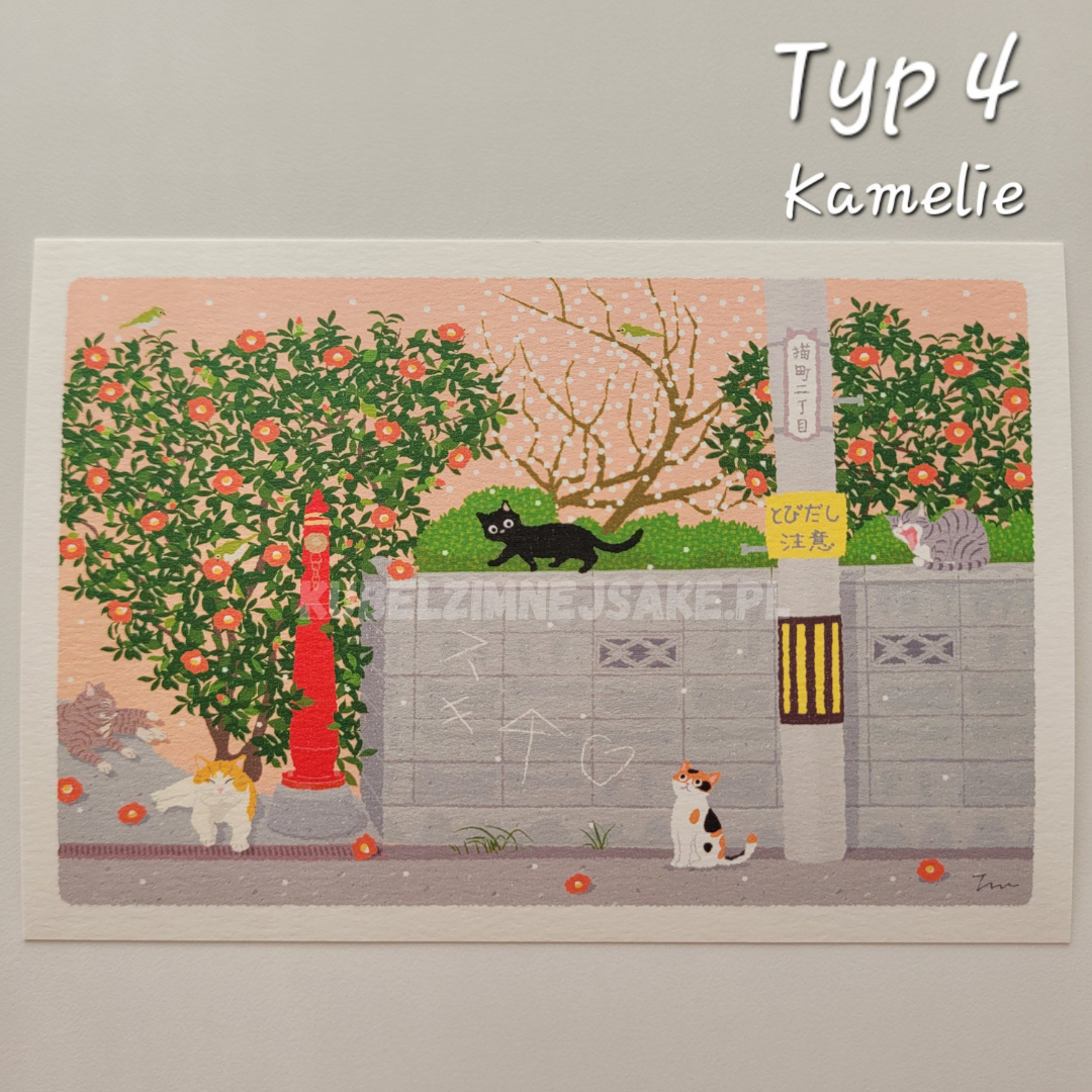 *Ferie* Zimowe Pocztówki Koty w Podróży