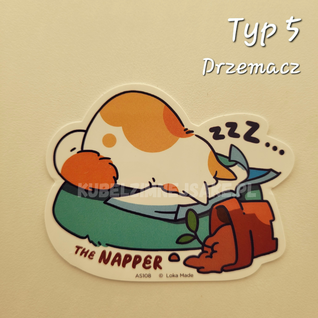 *Nowość* Naklejki Wodoodporne z Kotkami