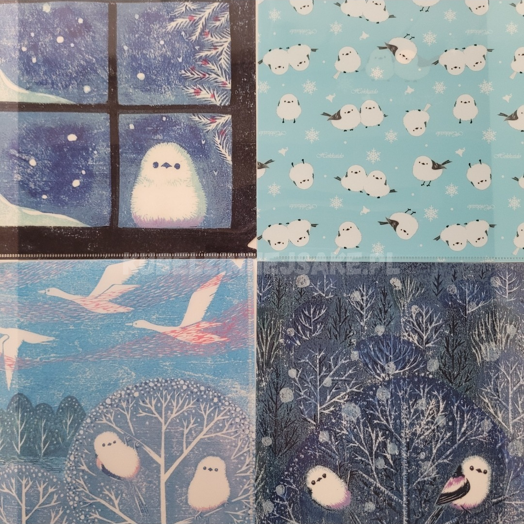 *Hokkaido* Folder na Dokumenty A4