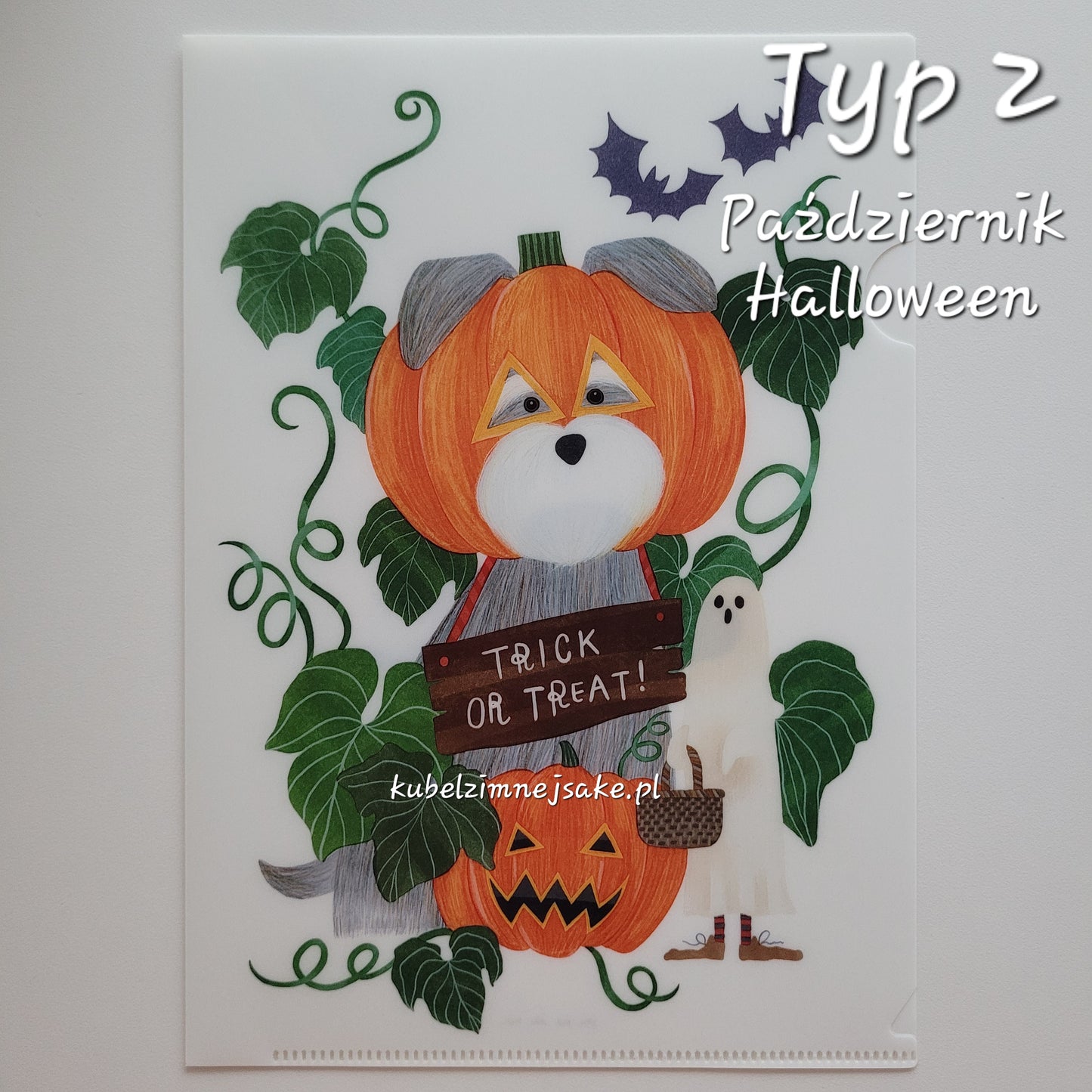 *Nowość* Jesień | Folder Typu Clear File