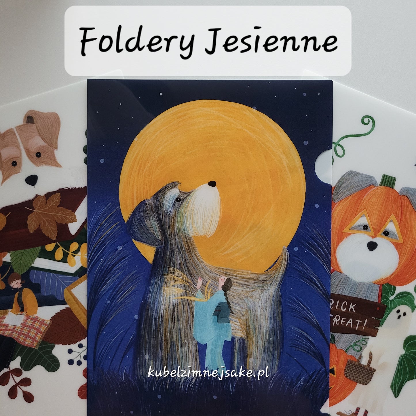 *Nowość* Jesień | Folder Typu Clear File