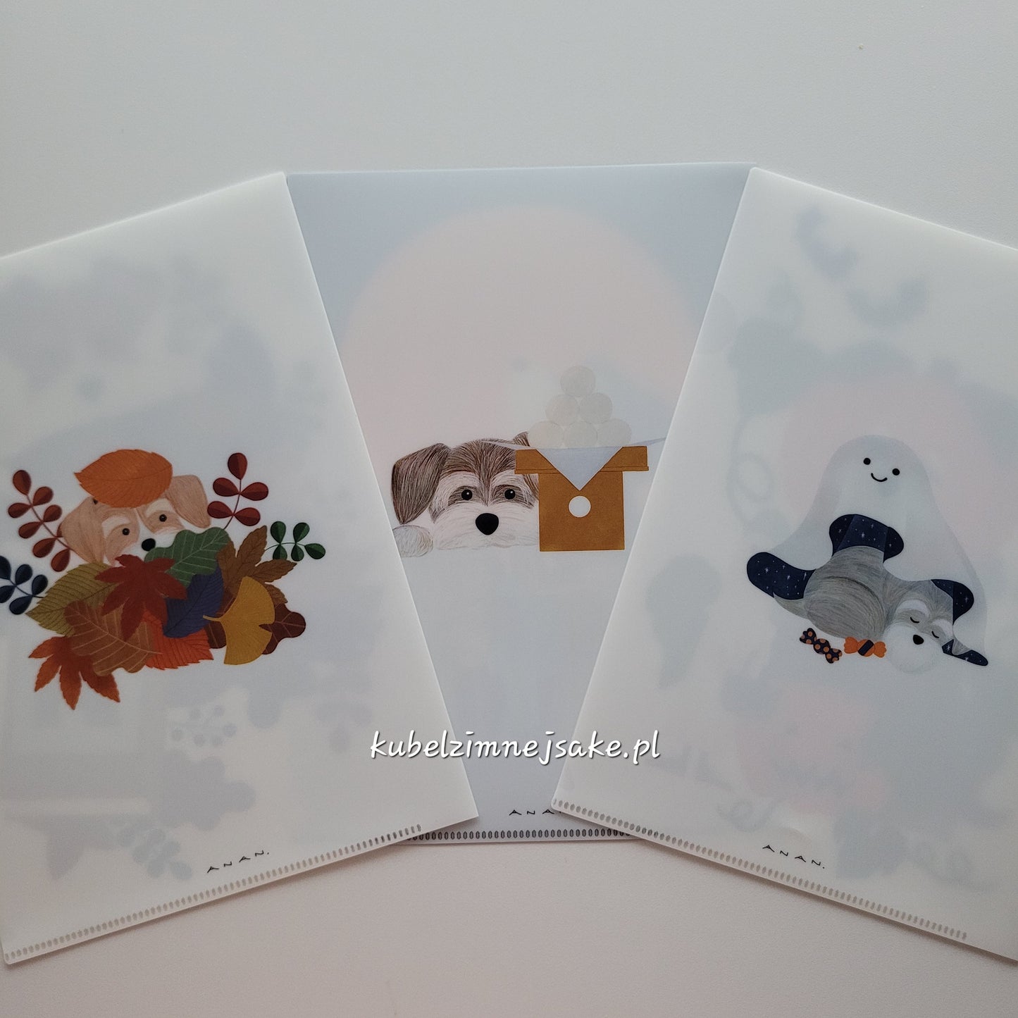 *Nowość* Jesień | Folder Typu Clear File