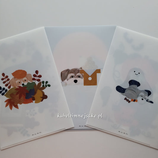 *Nowość* Jesień | Folder Typu Clear File